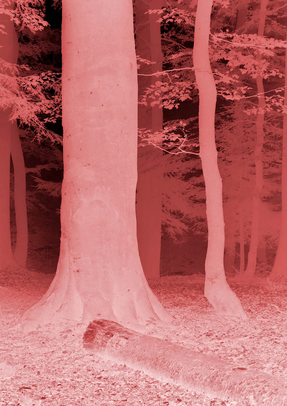 stacks image e00c12e