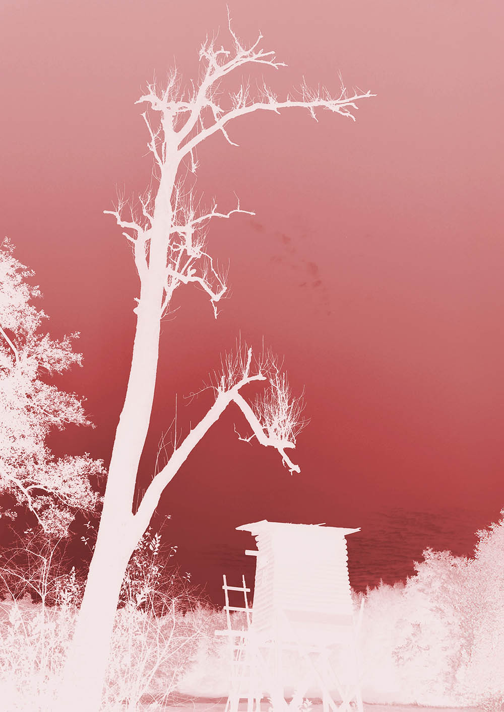 stacks image e00c12e