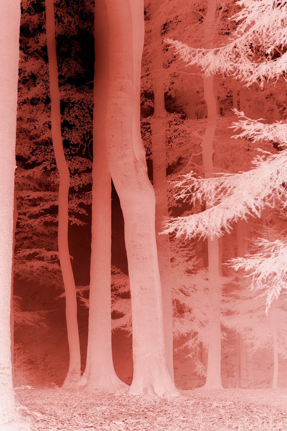 stacks image e00c12e