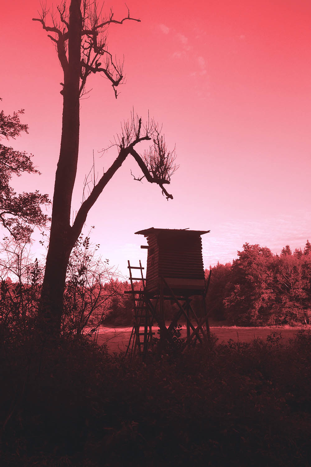 stacks image e00c12e