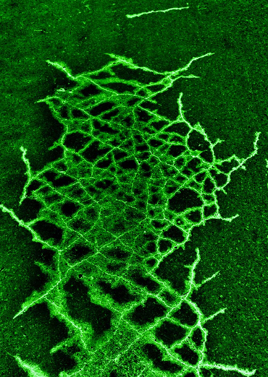 stacks image e00c12e