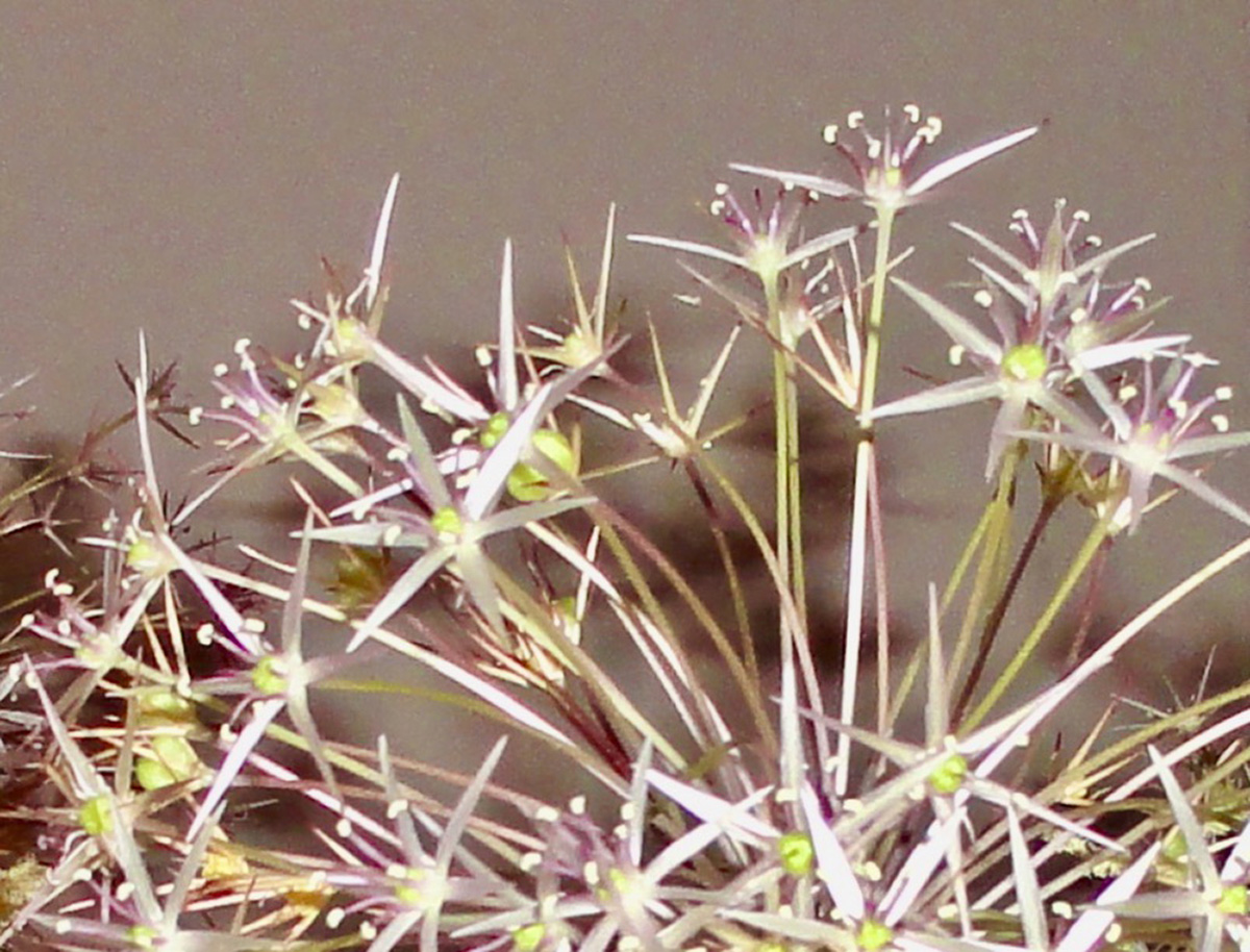 stacks image be5f267 892x1200