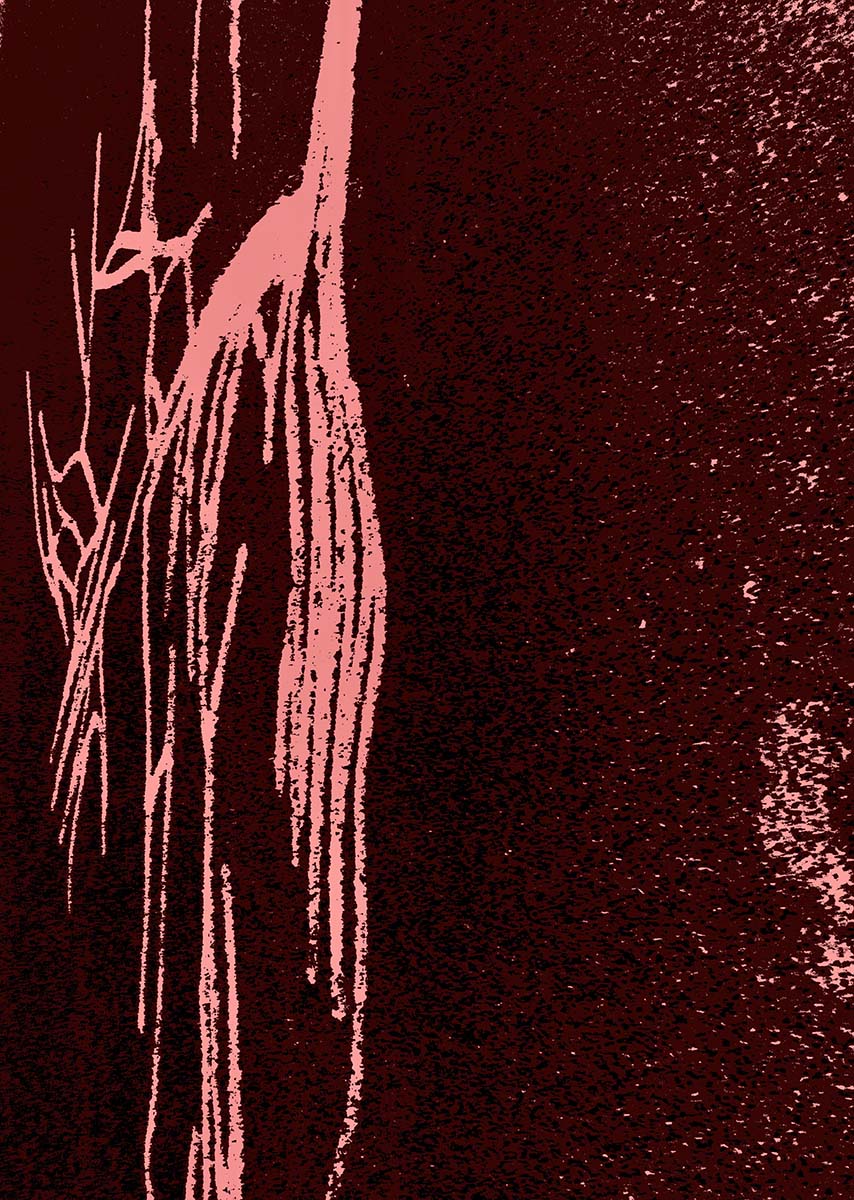 stacks image e00c12e