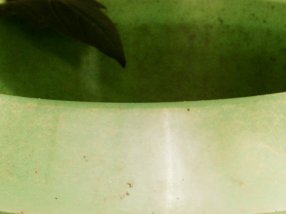 stacks image 493d008 954x1200