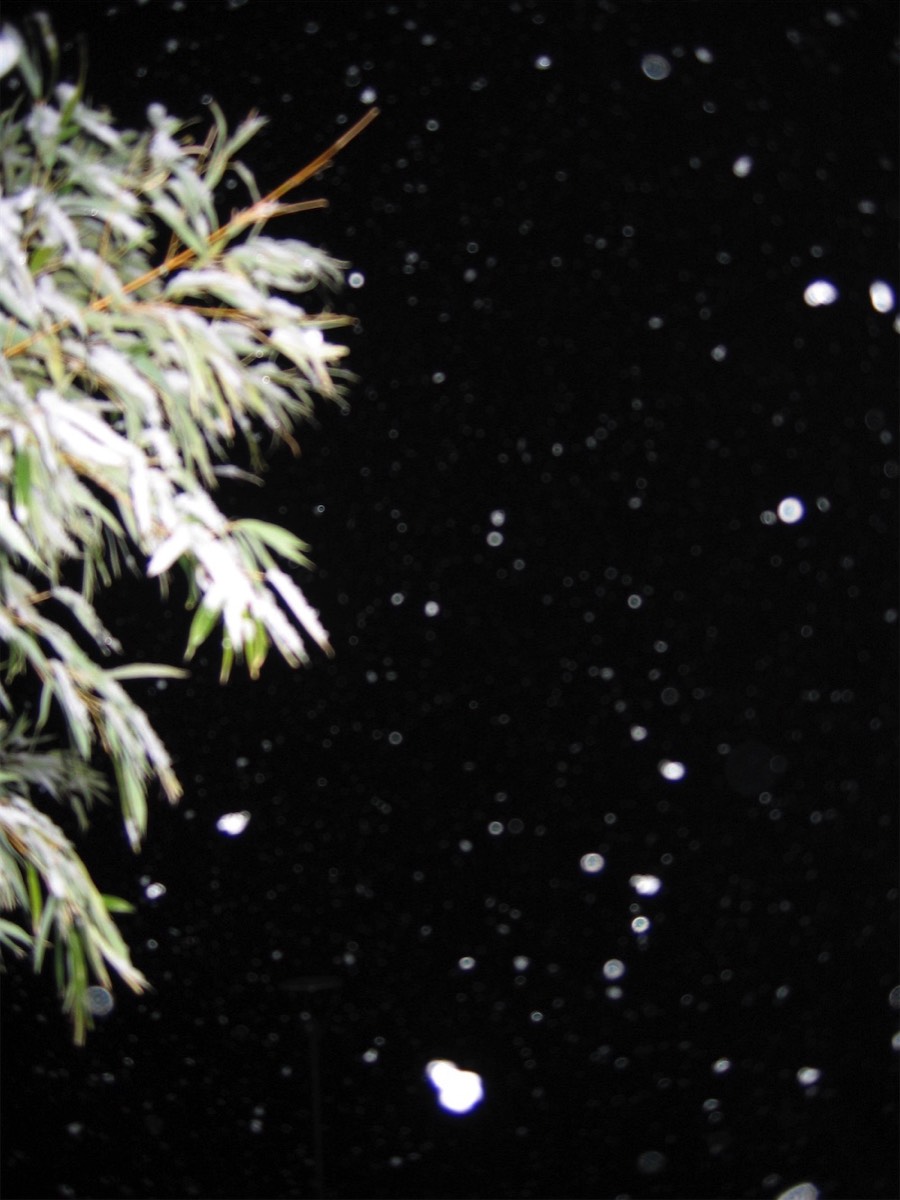 stacks image ae28bd1